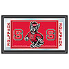 North Carolina State Logo and Mascot Framed Mirror