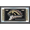 Western Michigan University Logo and Mascot Framed Mirror