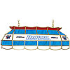 DePaul University Stained Glass 40 Inch Tiffany Lamp