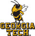 Georgia Tech Yellow Jackets