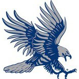 Dickinson State Blue Hawks