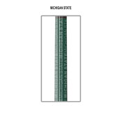 Michican State Cue Stick, 13-5016