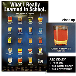 What I Really Learned In School Poster