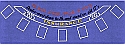 Blackjack Layout 36 x 72 inch Blue Felt
