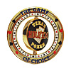 Texas Hold'em Poker Spinner Card Keeper