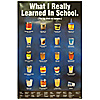 What I Really Learned In School Poster